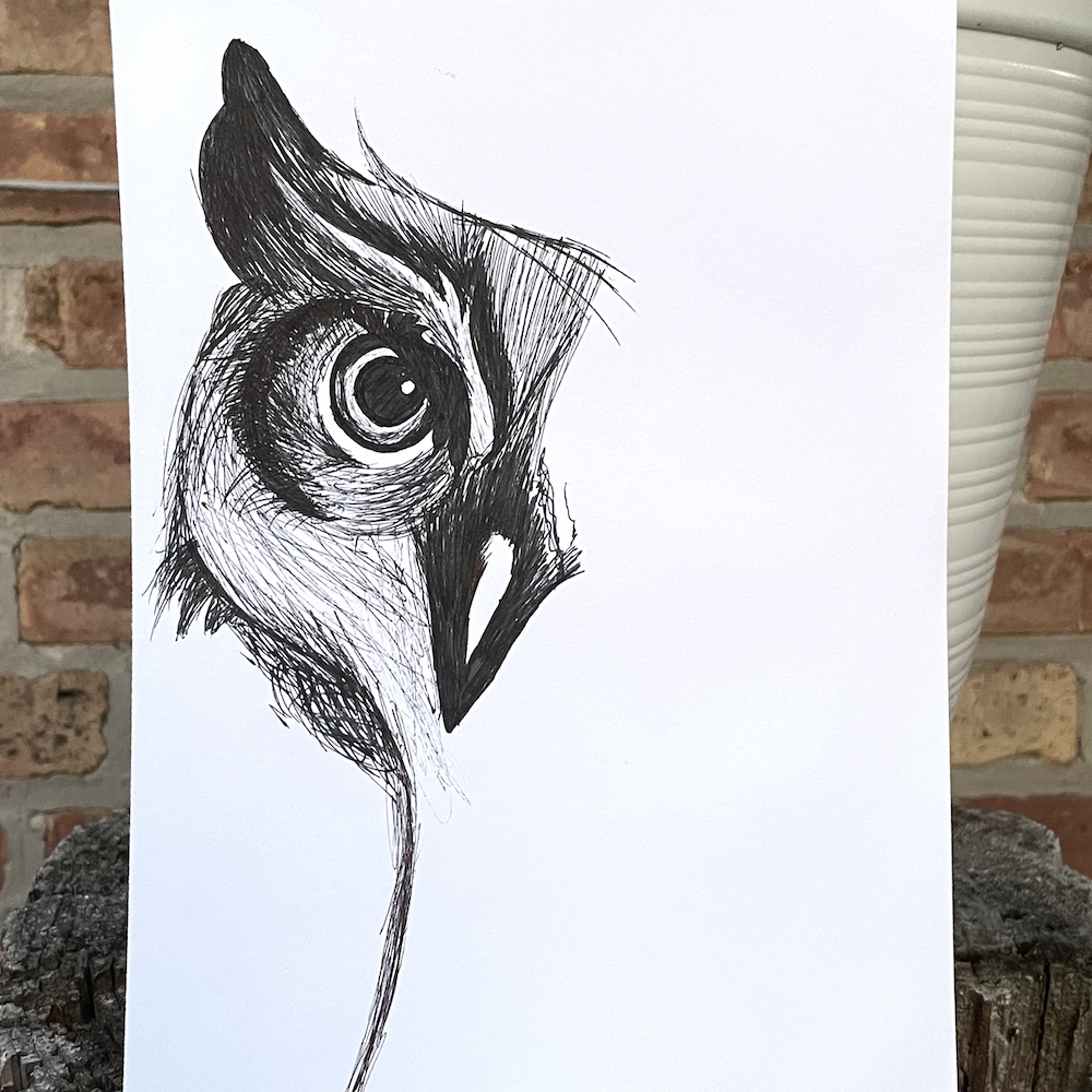 The Watcher (Owl Pen Drawing)